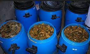 Lingkungan Banyak Sampah Daun?, Begini Cara Mengolahnya